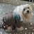 Karen Harman's profile image