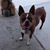 Frank Yackle's profile image