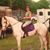 Shelley Hamer's profile image