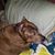 Donna Slyter's profile image