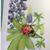 Beverly Ann's profile image