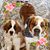 Yvonne Wingler Cross's profile image