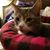 Lindsay Baumbich's profile image