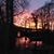 Dawn Bergin's profile image