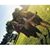 Katie Roath's profile image