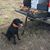 Larry Pelkey's profile image