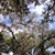 Kristin Heifner's profile image
