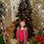 Kim Lundy Daly's profile image
