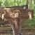Jamie Phillips's profile image