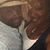 Daniel Kimbrough's profile image