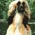 Mary Offerman's profile image