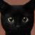 Kim Cabrera's profile image
