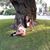 Angela Cavalcante's profile image