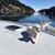 Nancy Gonsorowski's profile image