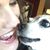 Kristine Lindemulder's profile image