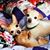 Crystal Thomley's profile image
