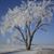 Donna Pettigrew's profile image