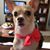 Wendy Sue Stodder's profile image