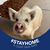 Cindy Gross's profile image
