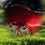 Jose Contreras's profile image