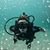 Carol DeFrece's profile image