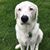 Carmella Murdy's profile image