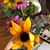 Cheryl Wiese's profile image