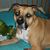 Kathy Purvis's profile image