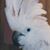 Mary Conaway's profile image