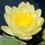 Kay Nance's profile image
