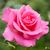 Judy Richman's profile image