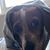 Calogero Carl Vinci's profile image