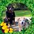 M.j. Putzeys's profile image