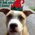 Teresita Rodriguez's profile image