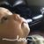 Tammie R Janes Carrico's profile image