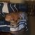 Amy Hudson Scott's profile image
