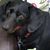 Connie DauWalter Halverson's profile image