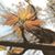 Tiffany McPeak Short's profile image