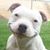 Timothy Kuhns's profile image