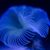Julie DeVarney's profile image