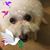 Sharon Behrens's profile image