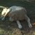 Marsha Baldwin-Landis's profile image