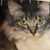 Patricia Gannaway's profile image