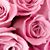 Jasmin Manzueta's profile image