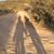 Manuel Guadalupe Mireles Navarro's profile image