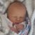 Kim Mankel's profile image
