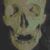 Gary Munkacsi's profile image