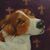 Rick Bohrer's profile image