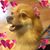 Sandra Hernandez's profile image