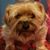 Sondra Mims's profile image